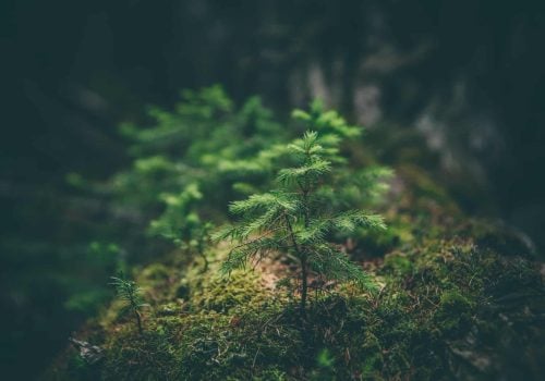 ISO 14001:2015 Certified Lead Auditor