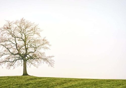 ISO 14001 2015 Foundations